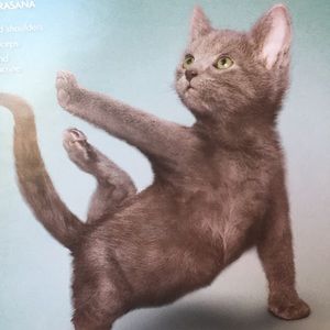 Meet your Posher, Carrie